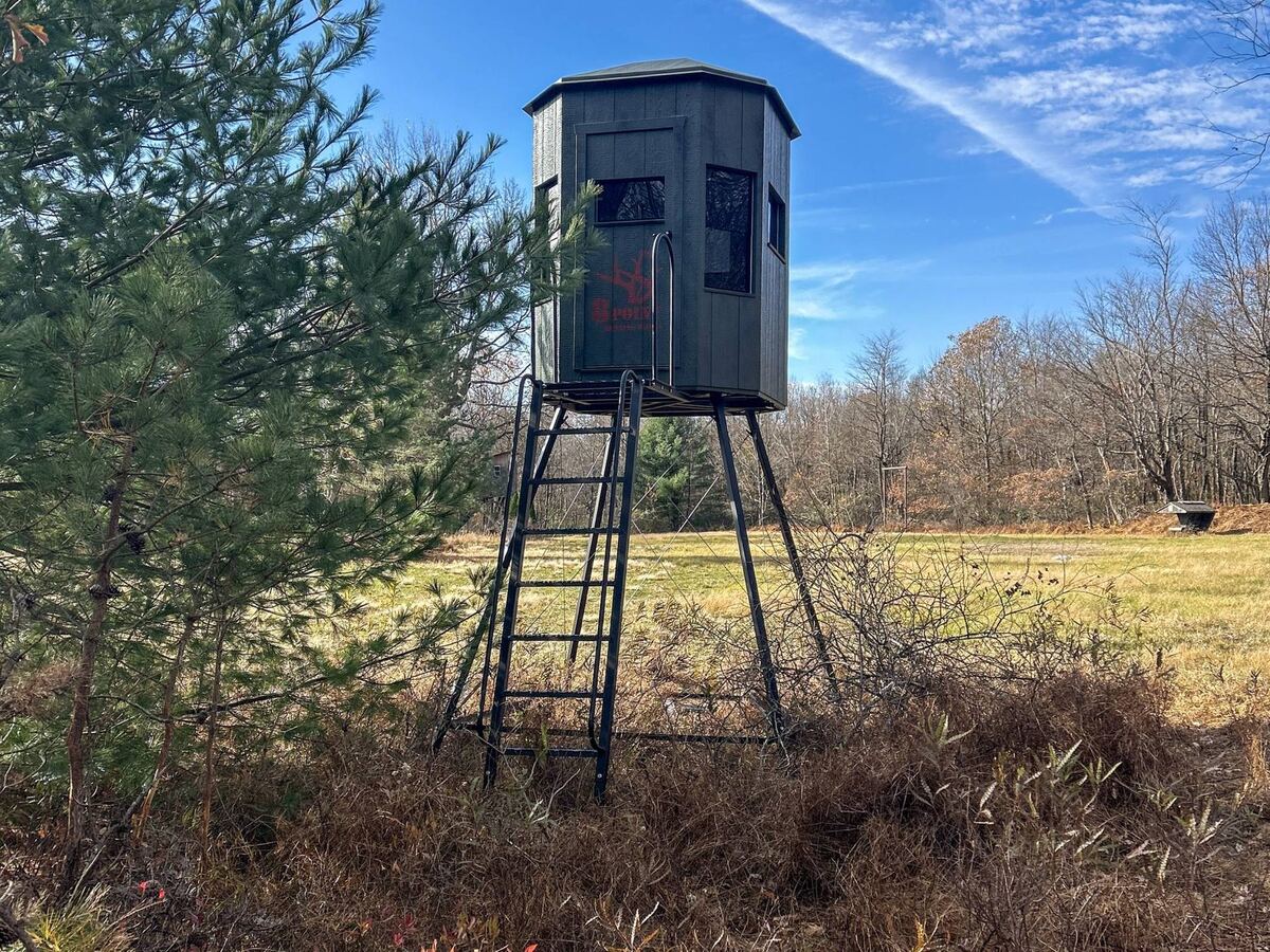 Elevated box blind overlooking an open field with bare hardwoods in the background